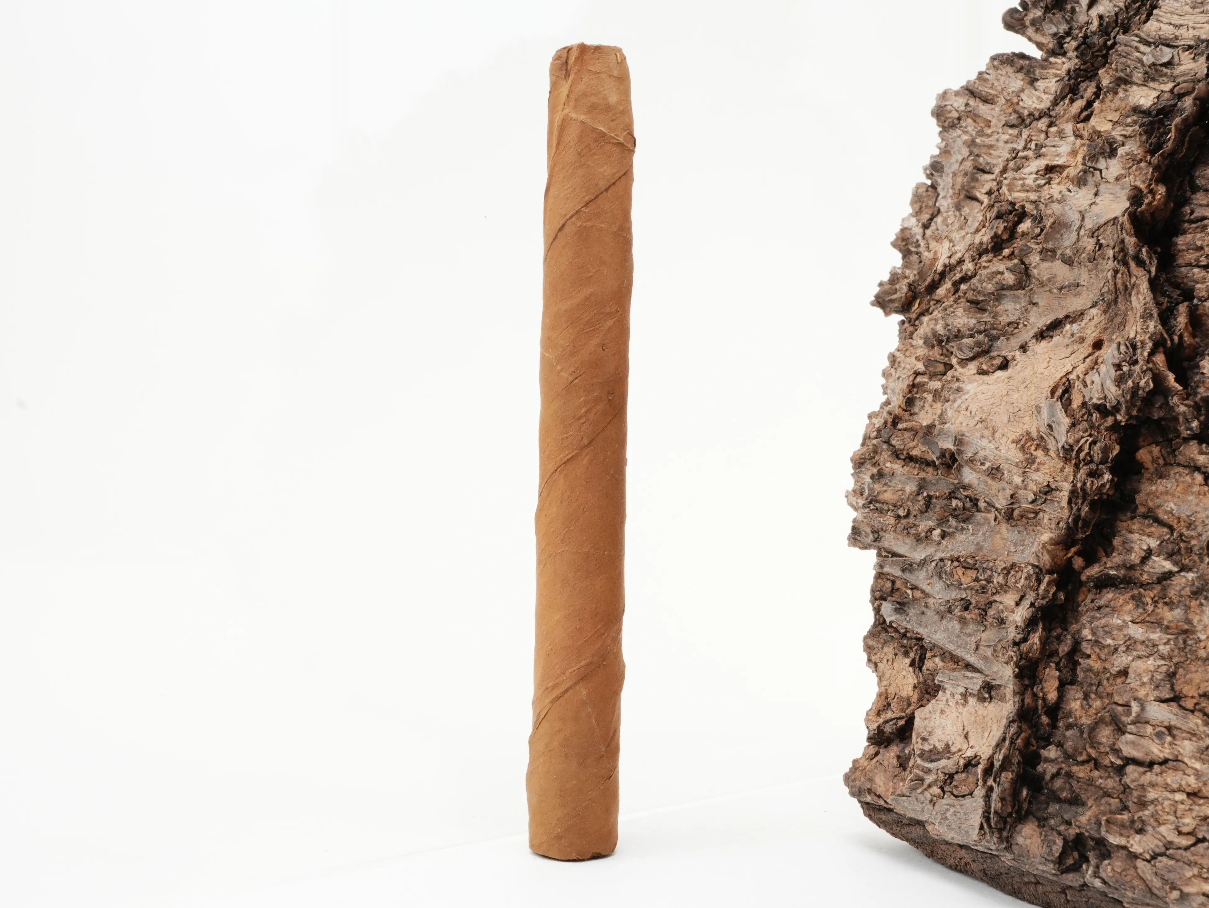 Carlos André Pace Club Cigarillos
