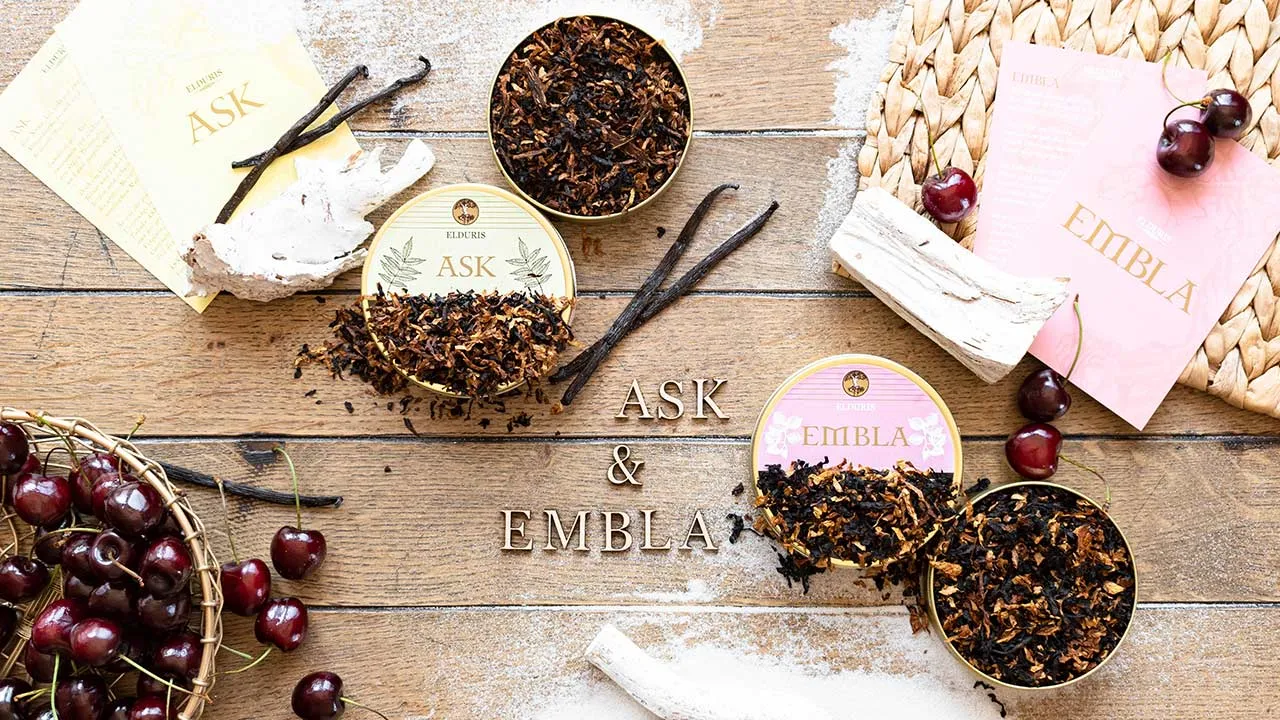 ask_embla_banner
