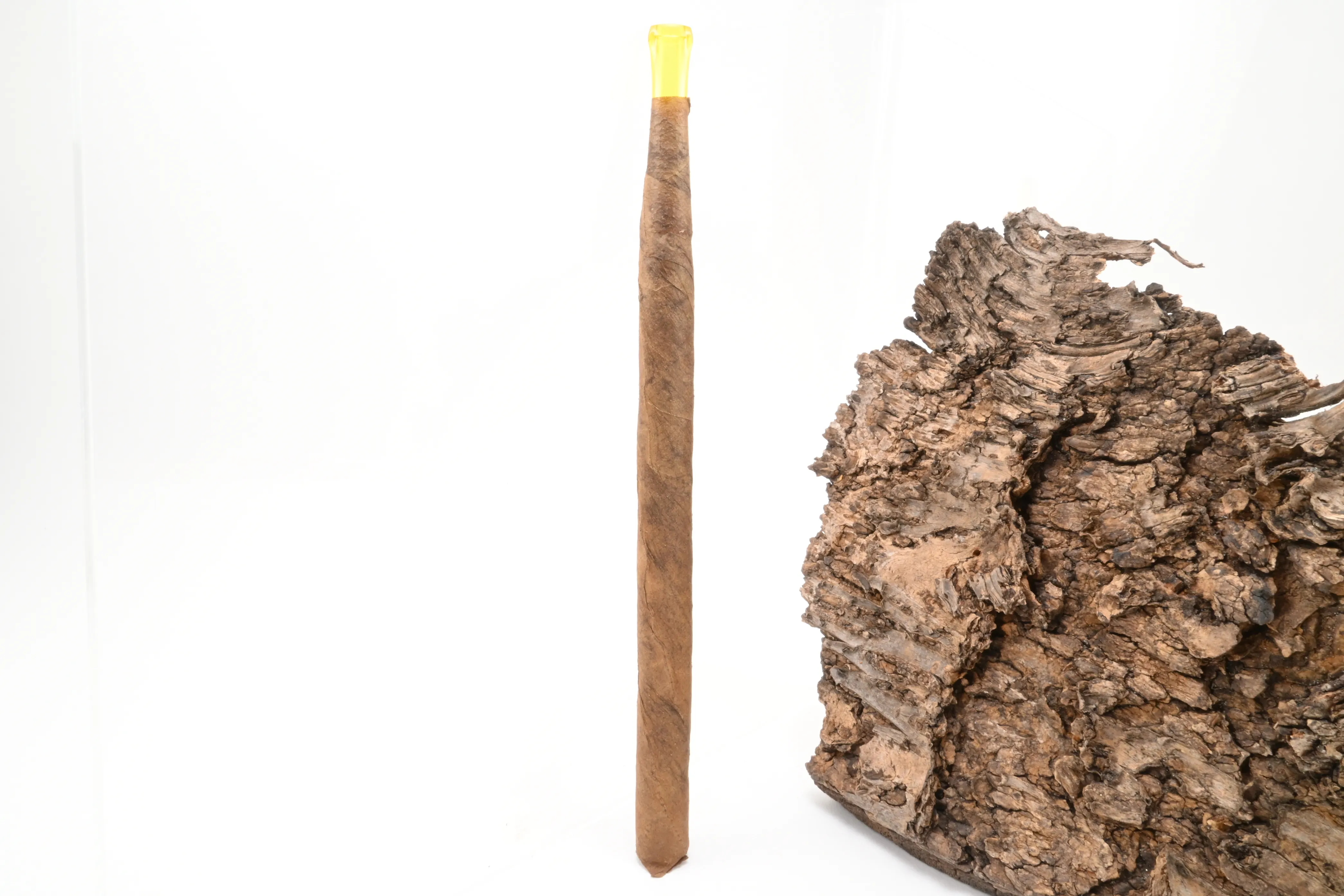 Villiger Kiel Sumatra – Produktbild 3