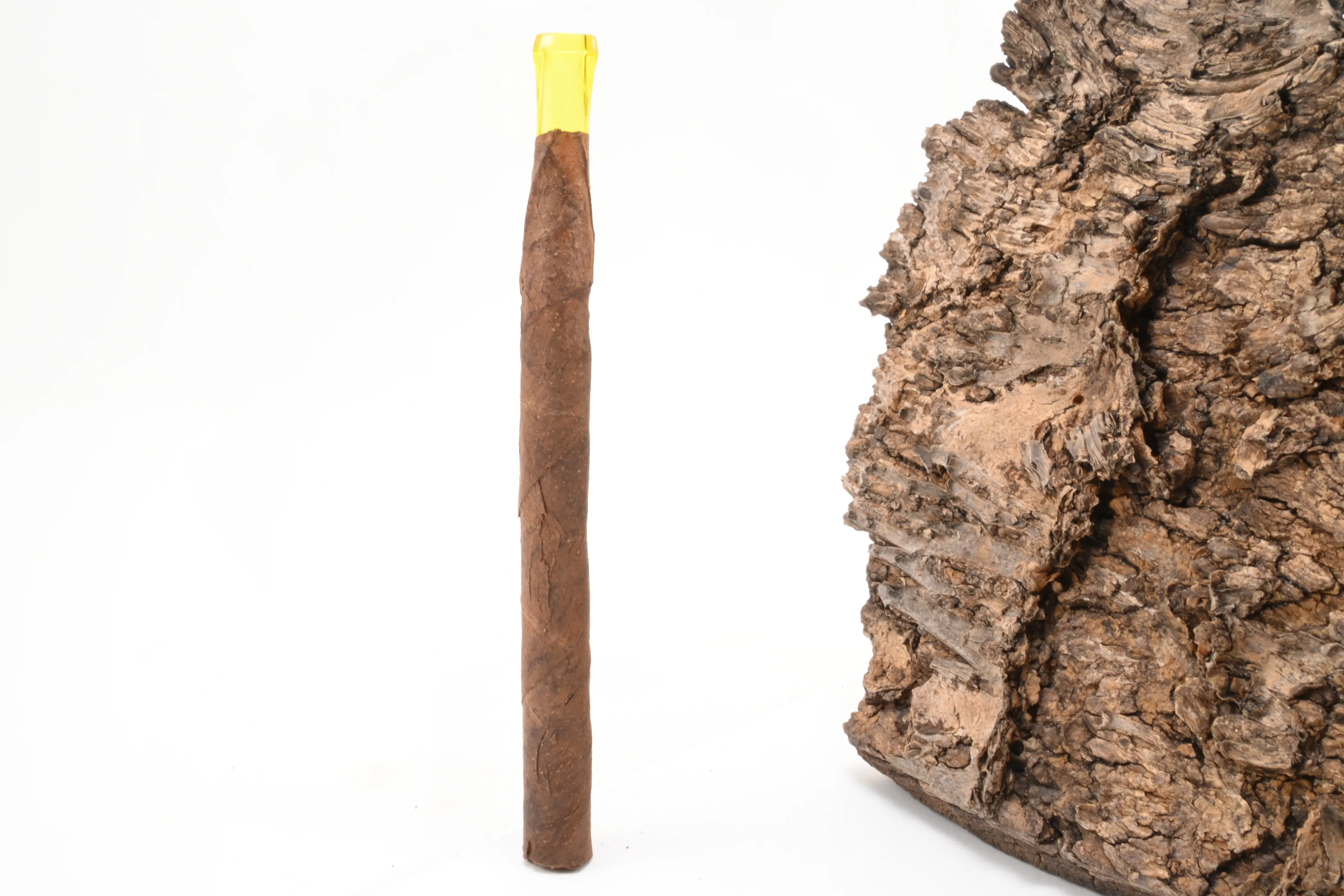 Villiger Kiel Brasil Junior – Produktbild 2