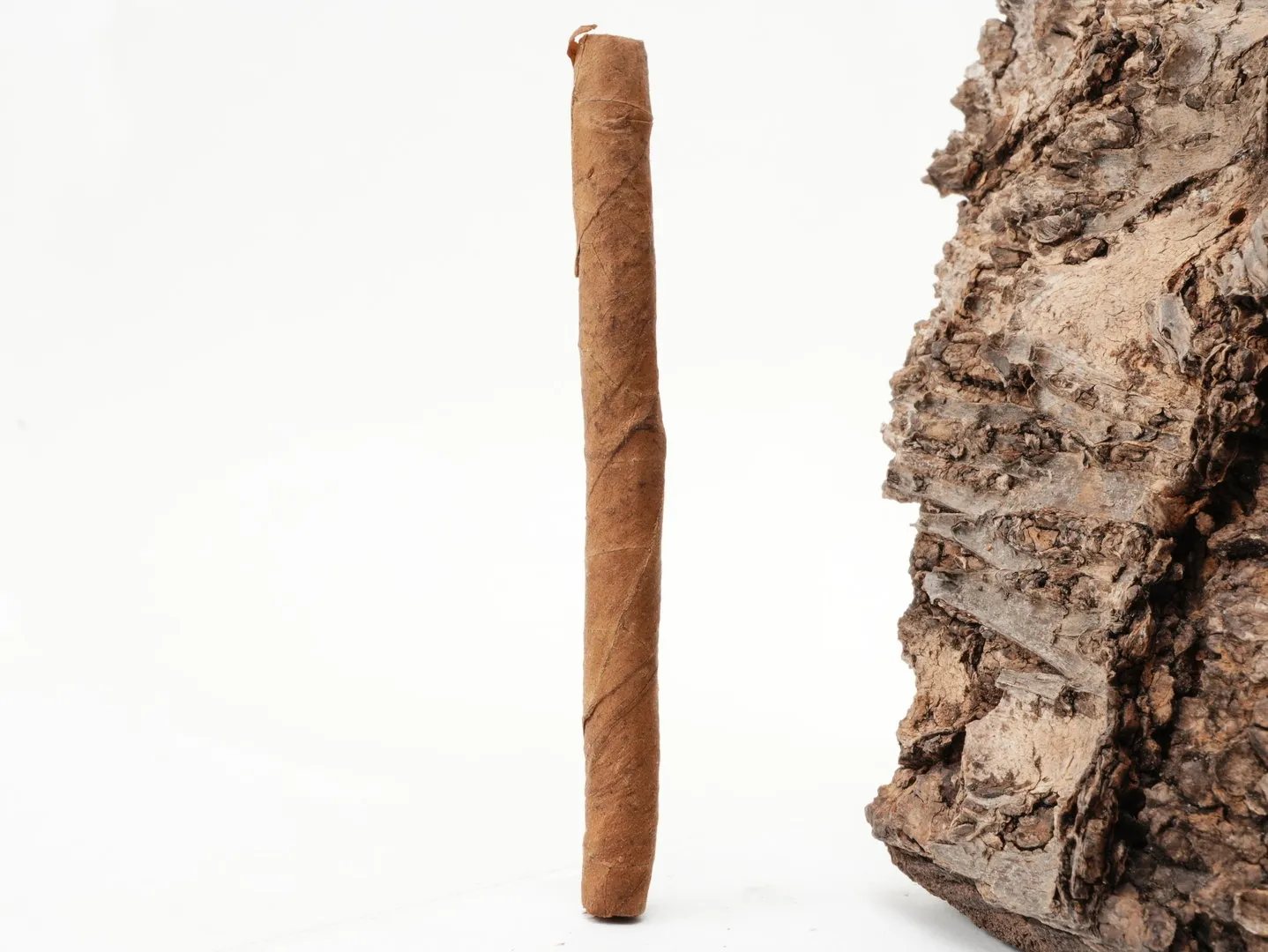 Cohiba White Mini – Produktbild 4