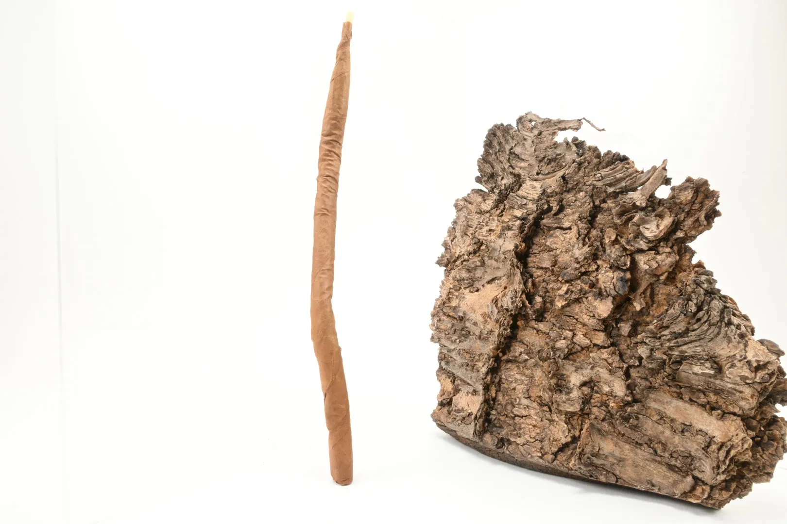 Villiger Curly – Produktbild 4
