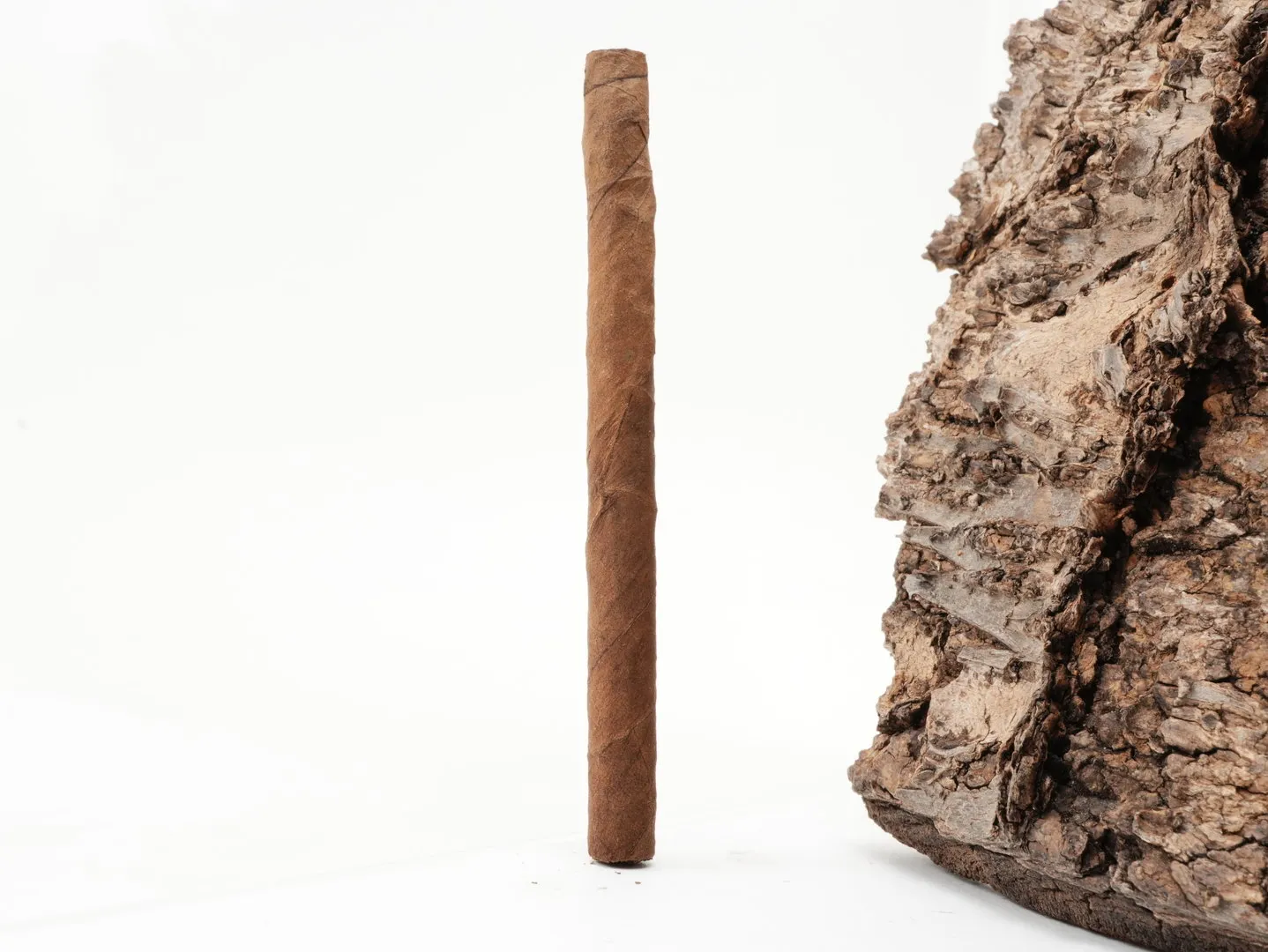Nobel Petit Sumatra – Produktbild 4