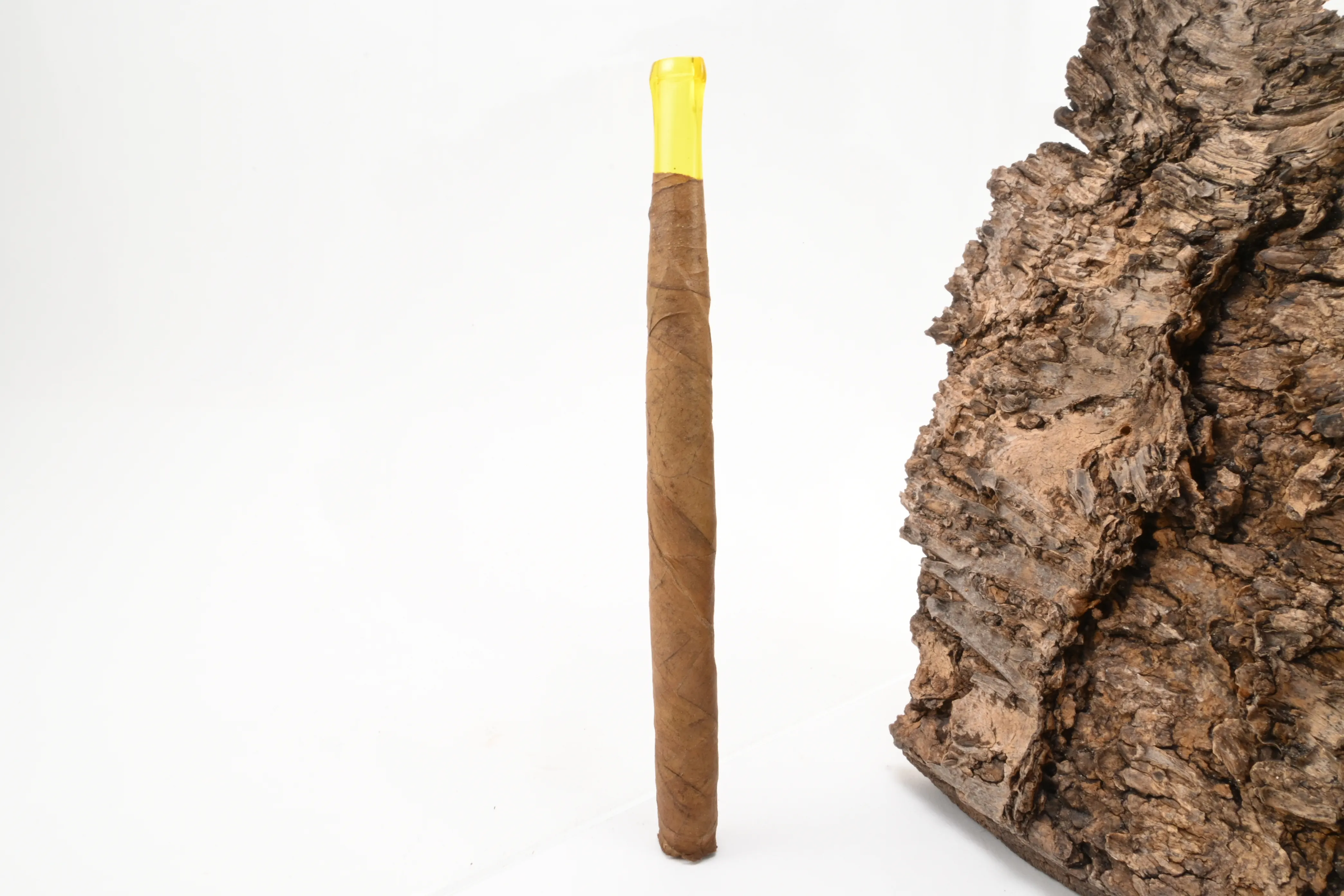 Villiger Kiel Sumatra Junior – Produktbild 3