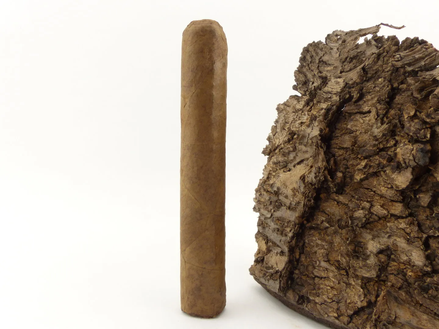 Flor del Sol Robusto
