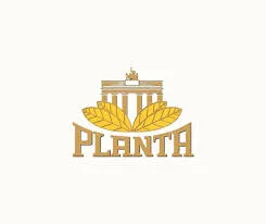 Planta
