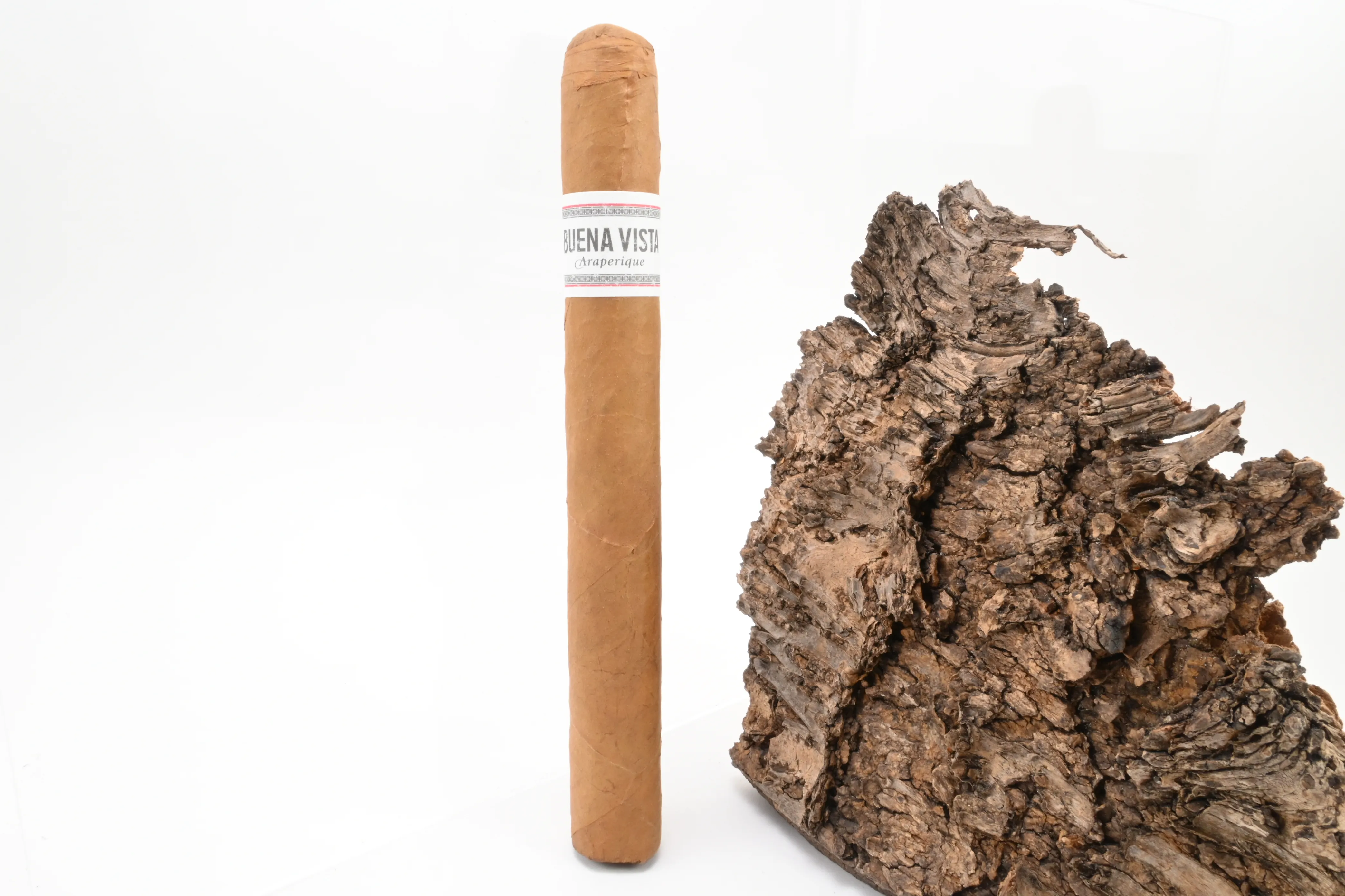 Buena Vista Araperique Churchill